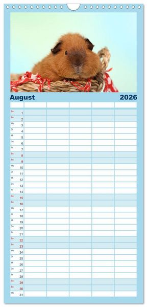 Produktbild: Familienplaner 2026 - Niedliche Meerschweinchen mit 5 Spalten (Wandkalender, 21 x 45 cm) CALVENDO