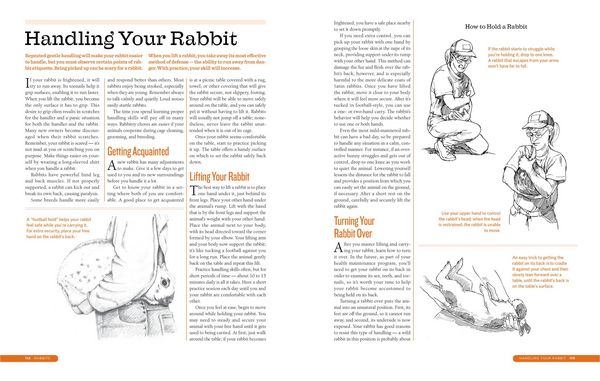 Produktbild: The Backyard Homestead Guide to Raising Farm Animals