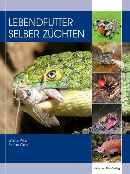 Produktbild: Lebendfutter selber z&uuml;chten
