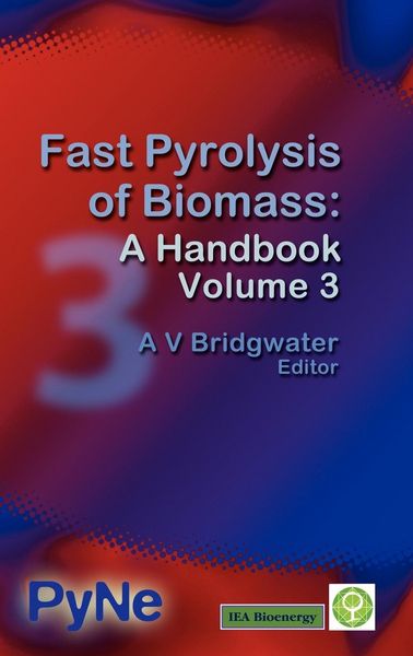 Produktbild: Fast Pyrolysis of Biomass
