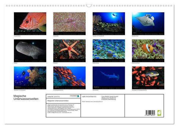 Produktbild: Magische Unterwasserwelten (Wandkalender 2026 DIN A2 quer), CALVENDO Monatskalender