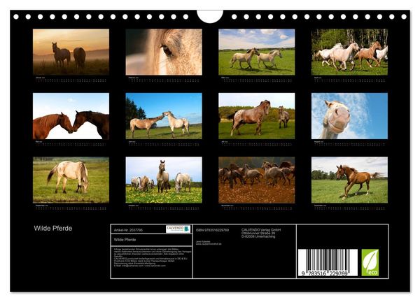 Produktbild: Wilde Pferde (Wandkalender 2026 DIN A4 quer), CALVENDO Monatskalender