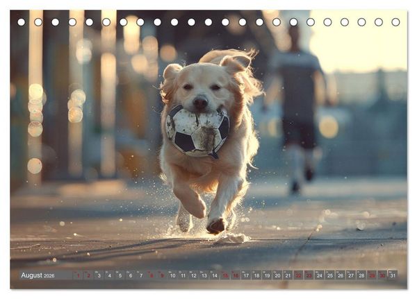 Produktbild: Tierische Balljunkies (Tischkalender 2026 DIN A5 quer), CALVENDO Monatskalender