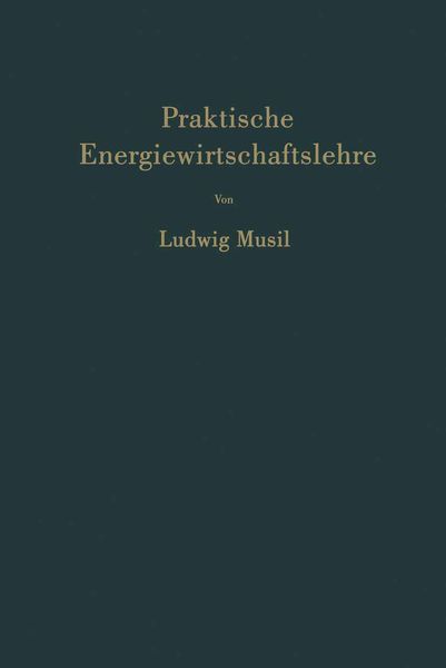 Produktbild: Praktische Energiewirtschaftslehre