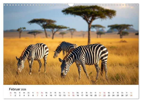 Produktbild: Zebras - Streifz&uuml;ge durch die Steppe (Wandkalender 2026 DIN A3 quer), CALVENDO Monatskalender