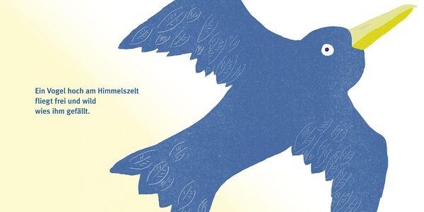 Produktbild: Wie schön wär fliegen