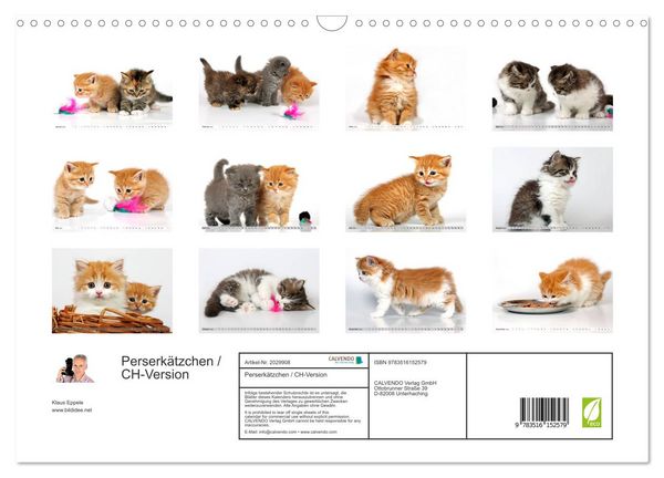 Produktbild: Perserk&auml;tzchen / CH-Version (Wandkalender 2026 DIN A3 quer), CALVENDO Monatskalender