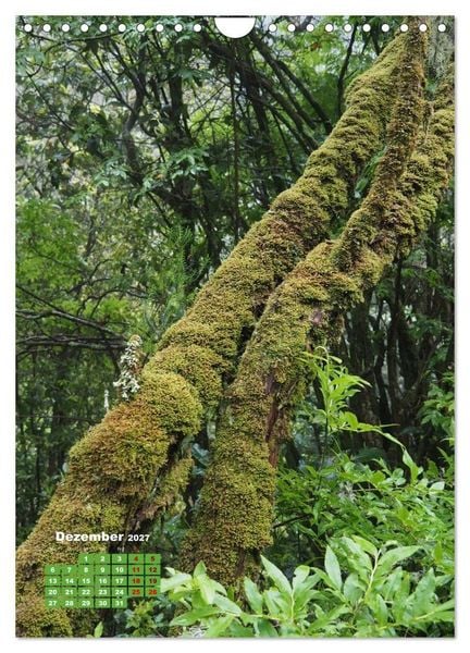 Produktbild: Levadas auf Madeira. Wildromantische Wanderwege (Wandkalender 2027 DIN A4 hoch), CALVENDO Monatskalender