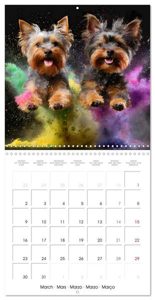 Produktbild: Dynamic Duo - Two Paws, One Leap (Wall Calendar 2026 12 &times; 12 Inch) CALVENDO 12 Month Wall Calendar