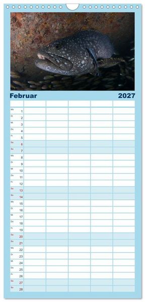 Produktbild: Familienplaner 2027 - Tauchen, Fische und Meer mit 5 Spalten (Wandkalender, 21 x 45 cm) CALVENDO