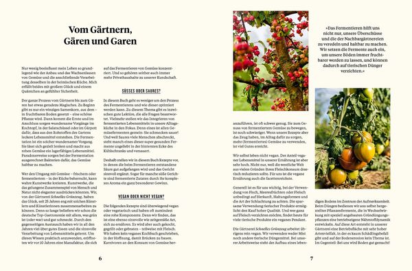 Produktbild: Schnelles Gr&uuml;nzeug
