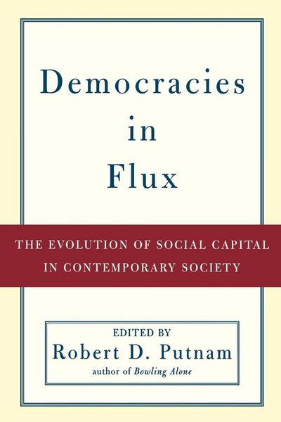 Produktbild: Democracies in Flux