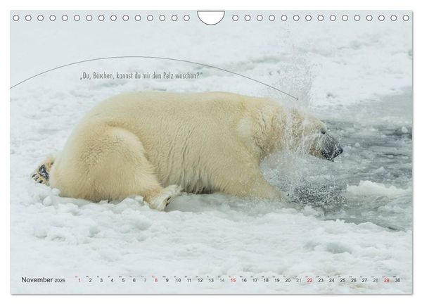 Produktbild: Emotionale Momente: Eisb&auml;ren - ganz menschlich gesehen. (Wandkalender 2026 DIN A4 quer), CALVENDO Monatskalender