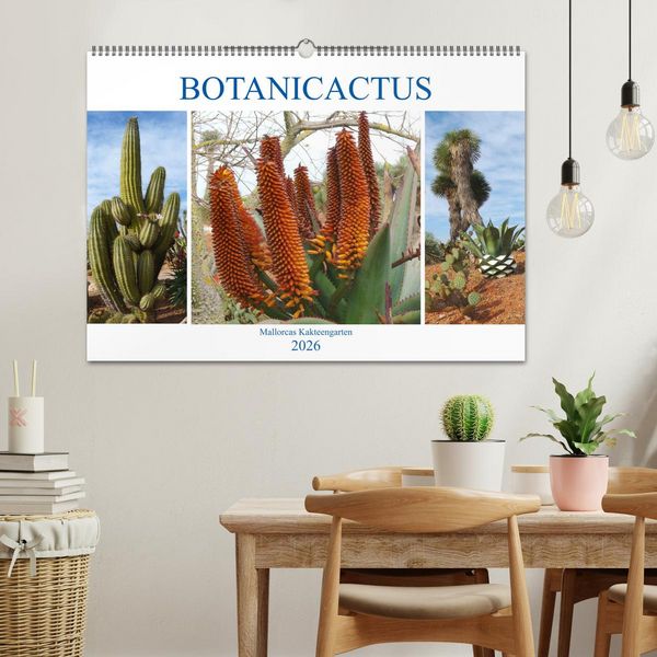 Produktbild: BOTANICACTUS Mallorcas Kakteengarten (Wandkalender 2026 DIN A2 quer), CALVENDO Monatskalender