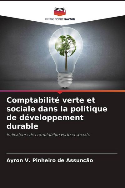 Produktbild: Comptabilit&eacute; verte et sociale dans la politique de d&eacute;veloppement durable