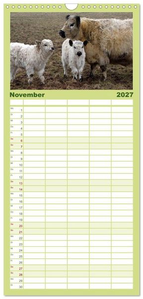 Produktbild: Familienplaner 2027 - Muuuhhh! mit 5 Spalten (Wandkalender, 21 x 45 cm) CALVENDO