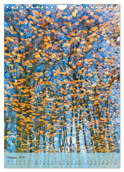 Produktbild: Wo der Wald tr&auml;umt (Wandkalender 2027 DIN A4 hoch), CALVENDO Monatskalender