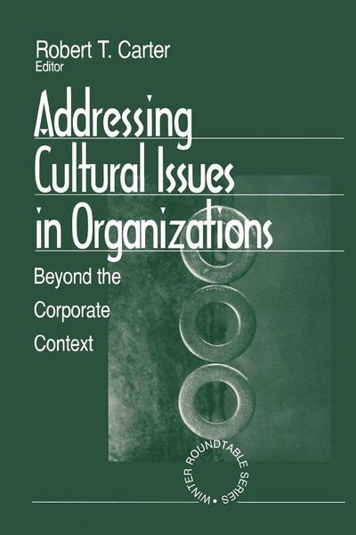 Produktbild: Addressing Cultural Issues in Organizations