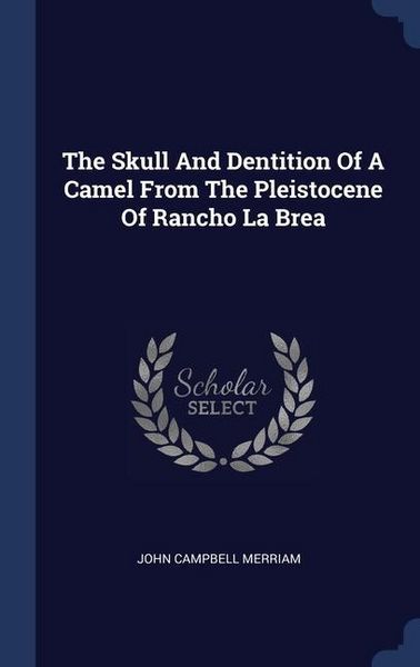 Produktbild: The Skull And Dentition Of A Camel From The Pleistocene Of Rancho La Brea