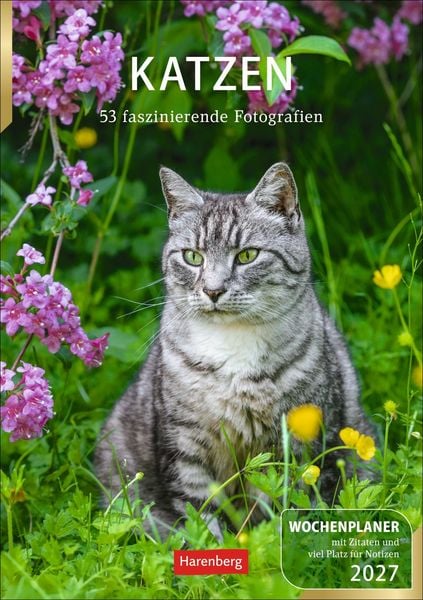 Katzen Wochenplaner 2027 - 53 faszinierende Fotografien