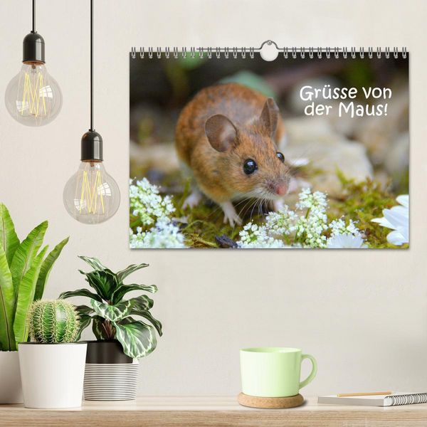Produktbild: Gr&uuml;sse von der Maus! (Wandkalender 2026 DIN A4 quer), CALVENDO Monatskalender