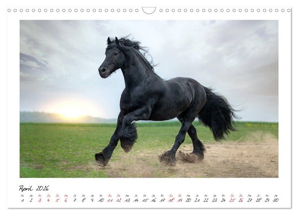 Produktbild: Friesen - stolze Giganten (Wandkalender 2026 DIN A3 quer), CALVENDO Monatskalender