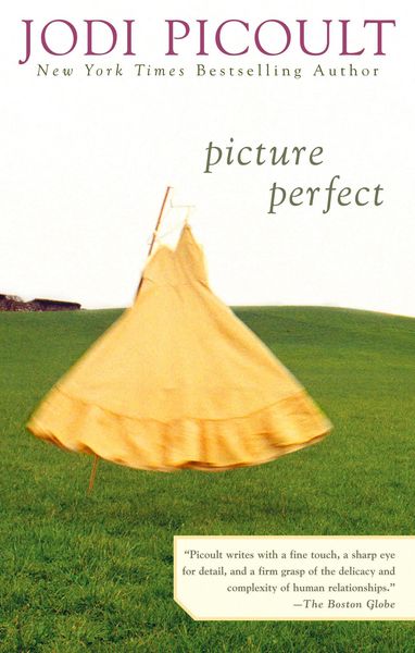 Produktbild: Picture Perfect