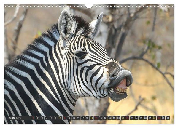 Produktbild: Wildtierparadies Afrika - Eine Foto-Reise durch die Savannen (Wandkalender 2026 DIN A3 quer), CALVENDO Monatskalender