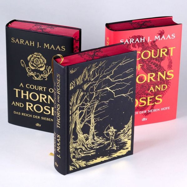 Produktbild: A Court of Thorns and Roses