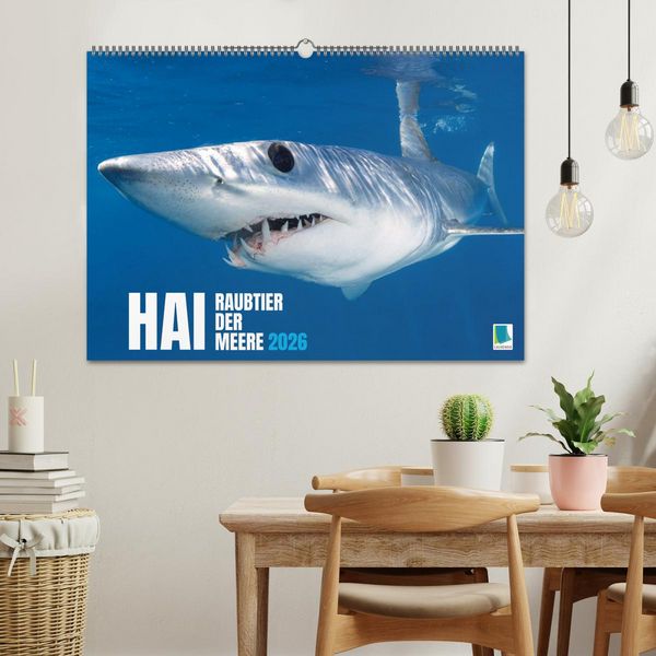 Produktbild: Hai: Raubtier der Meere (Wandkalender 2026 DIN A2 quer), CALVENDO Monatskalender