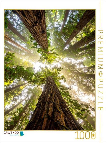 CALVENDO Puzzle Der Blick hinauf - Mammutbäume | 1000 Teile Lege-Größe 64x48cm Foto-Puzzle für glückliche Stunden