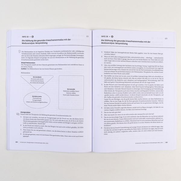 Produktbild: Therapie-Basics Schematherapie