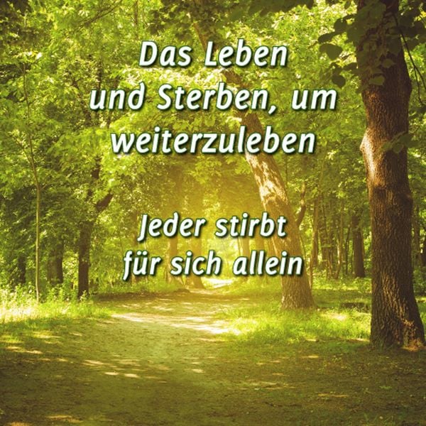 Produktbild: Das Leben und Sterben, um weiterzuleben