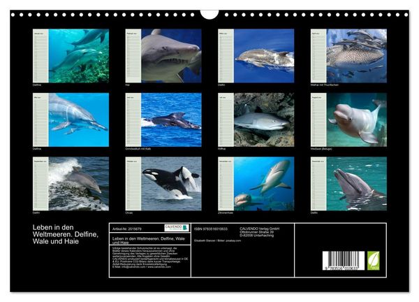 Produktbild: Leben in den Weltmeeren. Delfine, Wale und Haie (Wandkalender 2026 DIN A3 quer), CALVENDO Monatskalender