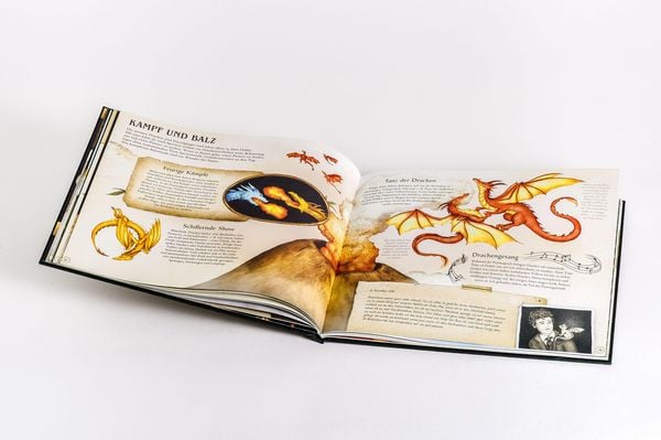 Produktbild: Das gro&szlig;e Handbuch der Drachen