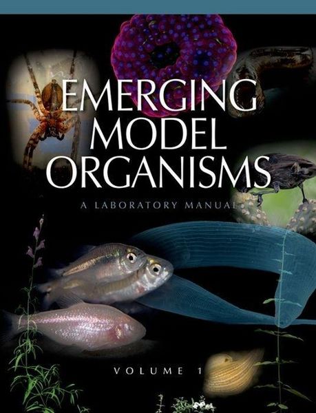 Produktbild: Emerging Model Organisms: A Laboratory Manual, Volume 1