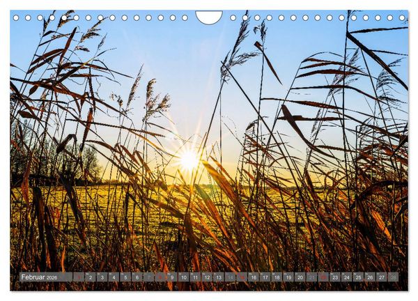 Produktbild: Moin Moormerland (Wandkalender 2026 DIN A4 quer), CALVENDO Monatskalender