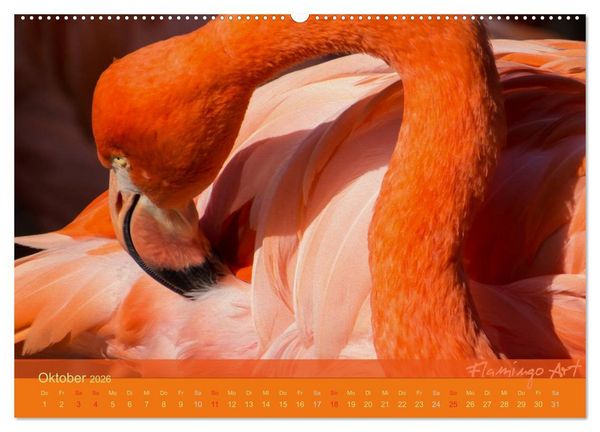 Produktbild: Flamingo Art 2026 (Wandkalender 2026 DIN A2 quer), CALVENDO Monatskalender