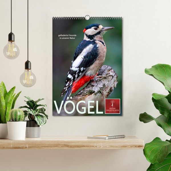 Produktbild: V&ouml;gel - gefiederte Freunde in unserer Natur (Wandkalender 2026 DIN A3 hoch), CALVENDO Monatskalender
