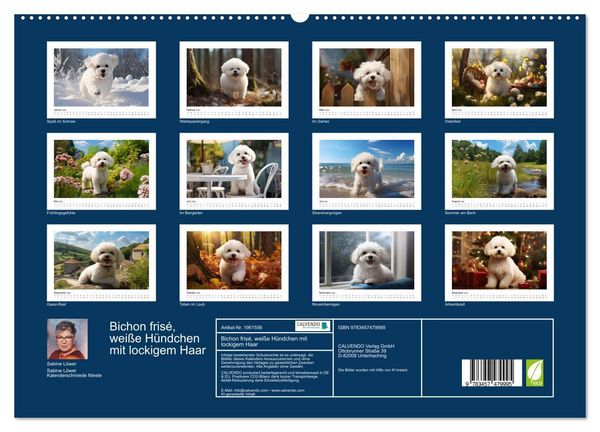 Produktbild: Bichon fris&eacute;, wei&szlig;e H&uuml;ndchen mit lockigem Haar (hochwertiger Premium Wandkalender 2026 DIN A2 quer), Kunstdruck in Hochglanz