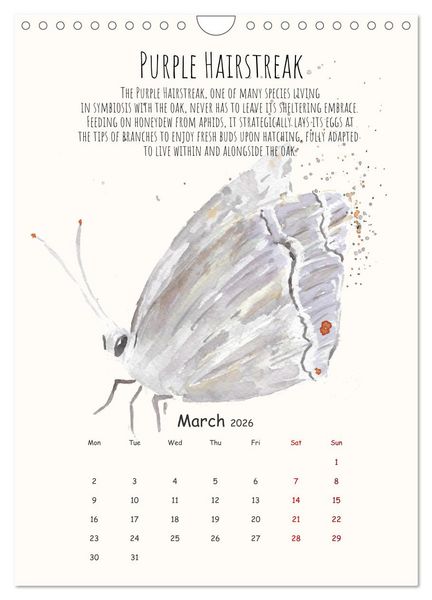 Produktbild: Symbiosis, the story of collaborations in nature (Wall Calendar 2026 DIN A4 portrait), CALVENDO 12 Month Wall Calendar