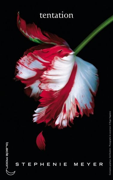 Produktbild: Twilight - Tome 2 : Tentation