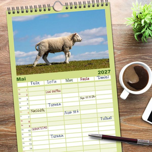 Produktbild: Familienplaner 2027 - Deichschafe - H&uuml;ter der Deiche in Nordfriesland mit 5 Spalten (Wandkalender, 21 x 45 cm) CALVENDO