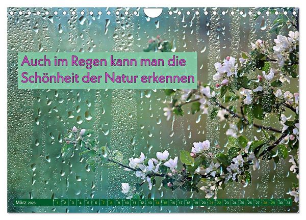 Produktbild: Regenmomente &ndash; Spr&uuml;che f&uuml;r graue Tage (Wandkalender 2026 DIN A4 quer), CALVENDO Monatskalender