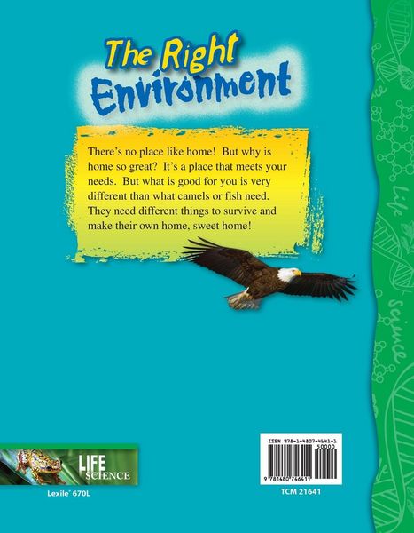 Produktbild: The Right Environment
