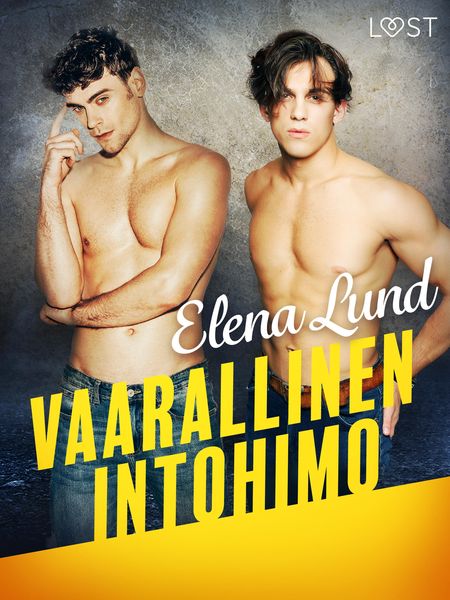Produktbild: Vaarallinen intohimo - eroottinen novelli