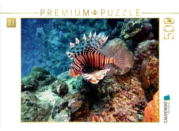 CALVENDO Puzzle Rotfeuerfisch, Koraffi, Ägypten | 500 Teile Lege-Größe 48 × 36 cm Foto-Puzzle für Erwachsene