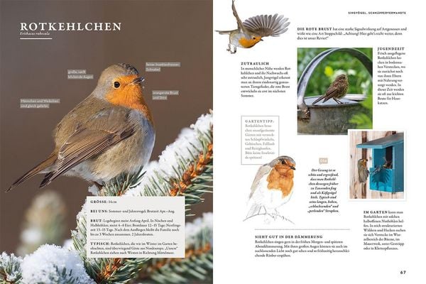 Produktbild: Das Buch der Gartenv&ouml;gel