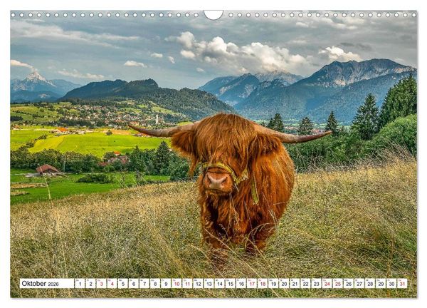 Produktbild: Kuhle Typen (Wandkalender 2026 DIN A3 quer), CALVENDO Monatskalender