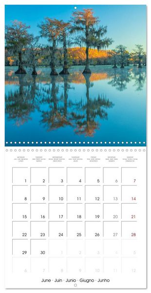 Produktbild: Mississippi Delta, Magic Swamps (Wall Calendar 2026 12 &times; 12 Inch) CALVENDO 12 Month Wall Calendar